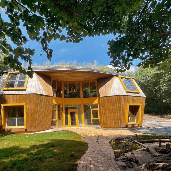 Der fertige Waldorfkindergarten Farmsen mit Holzfassade, gelben Fensterrahmen und begrüntem Dach